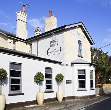Appartamento The Dog And Duck Suffolk Woodbridge Esterno foto